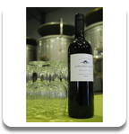 2013 Merlot