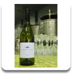 2013 Pinot Gris