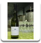 2013 Riesling