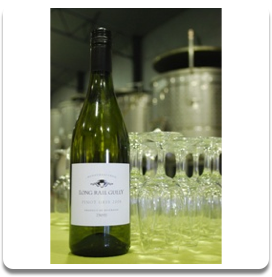 2013 Pinot Gris