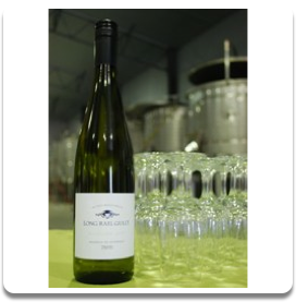 2013 Riesling